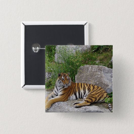 Foto van een Siberische tijger Vierkante Button 5,1 Cm (Voorkant /achterkant)