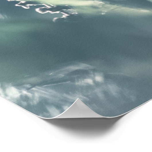 Foto van een sorrelplant in de natuur poster (Hoek)