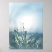 Foto van een sorrelplant in de natuur poster (Voorkant)