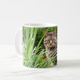 Foto van een tabbykat zittend in het gras koffiemok