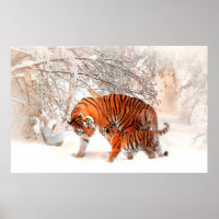 Foto van een tijger en een kub die in de sneeuw sp