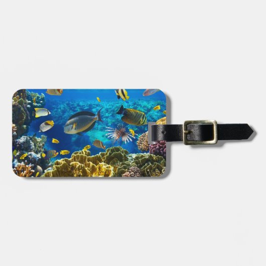 Foto van een tropische vis op een koraalrif bagagelabel (Voorkant horizontaal)