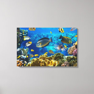 Foto van een tropische vis op een koraalrif canvas afdruk