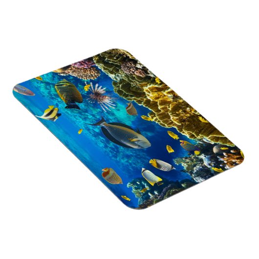 Foto van een tropische vis op een koraalrif magneet (Rechterzijde)