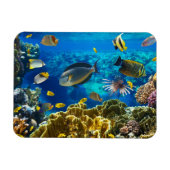 Foto van een tropische vis op een koraalrif magneet (Horizontaal)