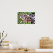 Foto van een uil poster (Keuken)