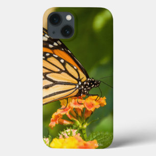 foto van een vlinder op een bloem iPhone 13 hoesje