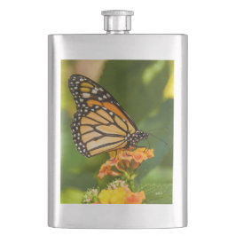 foto van een vlinder op een bloem heupfles