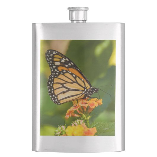 foto van een vlinder op een bloem heupfles (Voorkant)