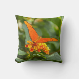 foto van een vlinder op een bloem kussen