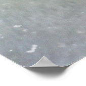 Foto van een White Horse and Bird in Winter Poster (Hoek)