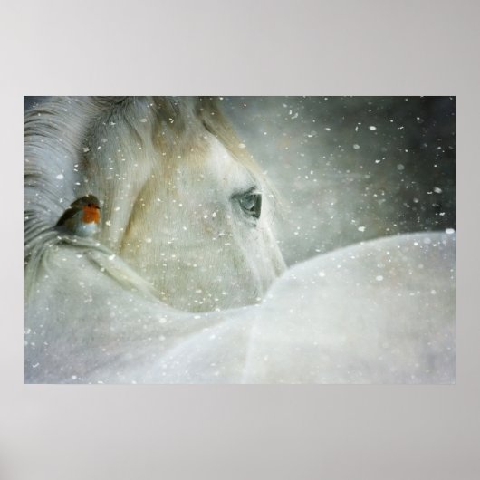 Foto van een White Horse and Bird in Winter Poster (Voorkant)