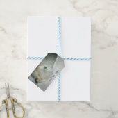 Foto van een White Horse & Bird in Winter Dank je Cadeaulabel (Met Touw)