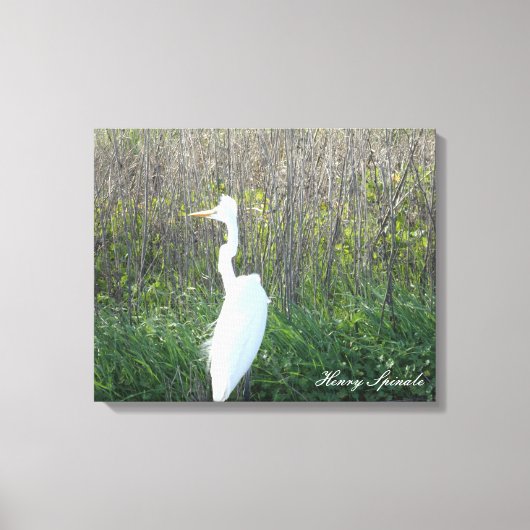 Foto van een wild Egret op canvas. Canvas Afdruk (Voorkant)