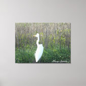 Foto van een wild Egret op canvas. Canvas Afdruk (Voorkant)
