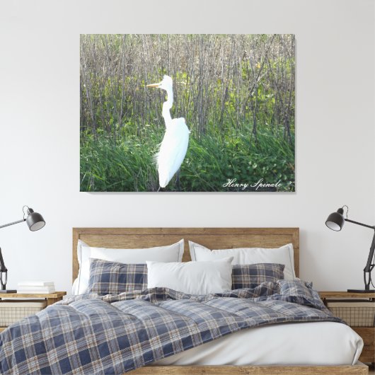 Foto van een wild Egret op canvas. Canvas Afdruk (Insitu (Slaapkamer))