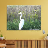 Foto van een wild Egret op canvas. Canvas Afdruk (Insitu (Woonkamer))