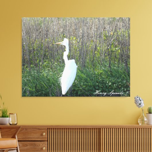 Foto van een wild Egret op canvas. Canvas Afdruk (Insitu (Woonkamer))