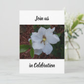 Foto van een witte gardenia bloesem van dichtbij kaart (Staand voorkant)