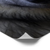 Foto van een Wolf Poster (Hoek)