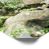 Foto van El Yunque Puerto Rico Poster (Hoek)