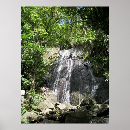 Foto van El Yunque Puerto Rico Poster (Voorkant)