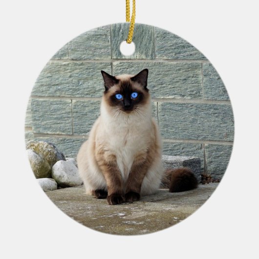 Foto van Elegant Siamese Cat Keramisch Ornament (Voorkant)