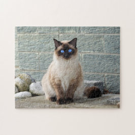 Foto van Elegant Siamese Cat Legpuzzel