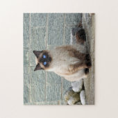 Foto van Elegant Siamese Cat Legpuzzel (Verticaal)