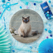 Foto van Elegant Siamese Cat Papieren Bordje (Feest)