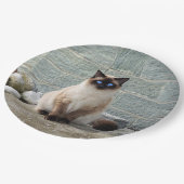 Foto van Elegant Siamese Cat Papieren Bordje (Gekanteld)