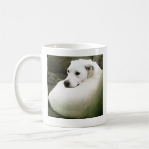 Foto van Elegant White Dog gekruld op de bank Koffiemok