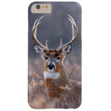 Foto van Elegant Whitetail Deer Winter Season