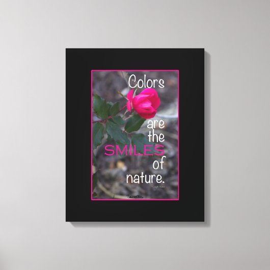 Foto van enkele draaiende roze roze roze roze canvas afdruk (Voorkant)