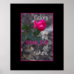 Foto van enkele draaiende roze roze roze roze poster