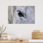 Foto van Eye of Horse White Ranch Mare Poster (Keuken)