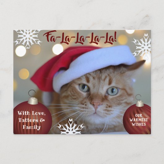 Foto van Fa-La-La-La-La Pets Holiday Briefkaart (Voorkant)
