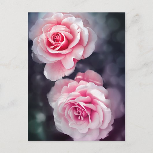 Foto van Feminine Pink Roses Floral Briefkaart (Voorkant)