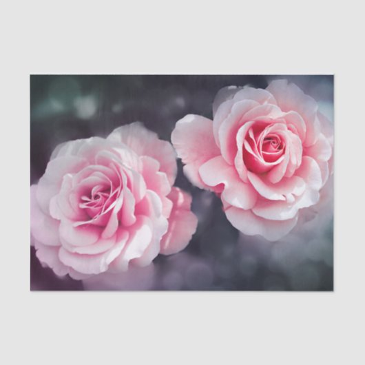 Foto van Feminine Pink Roses Floral Tissuepapier (Voorkant)