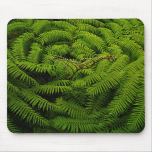 Foto van Fern Fine Art Muismat