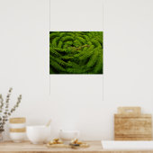 Foto van Fern Fine Art Poster (Keuken)