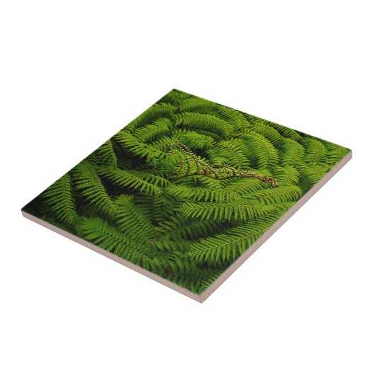 Foto van Fern Fine Art Tegeltje (Zijkant)