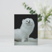 Foto van Ferret Taxidermy Fine Art Mount Briefkaart (Staand voorkant)