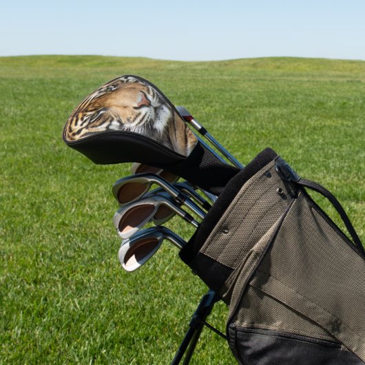 Foto van Fierce Tiger Face Golfheadcover (Insitu)
