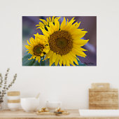 Foto van Floral Cluster Sunflower close-up Poster (Keuken)