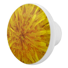 Foto van Flower Yellow Dandelion Keramische Knop