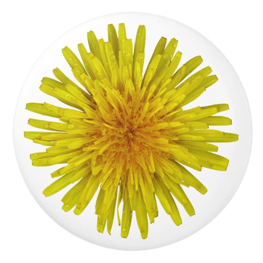 Foto van Flower Yellow Dandelion Keramische Knop (Voorkant)