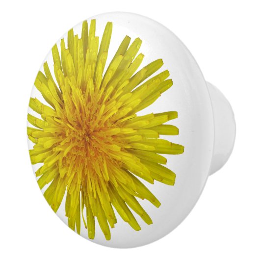 Foto van Flower Yellow Dandelion Keramische Knop (Rechts)