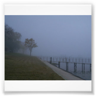 Foto van Foggy Day Tree Foto Afdruk