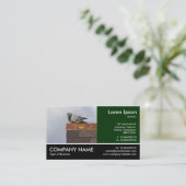 Foto van Footed - Good Morning Pigeon Visitekaartje (Staand voorkant)